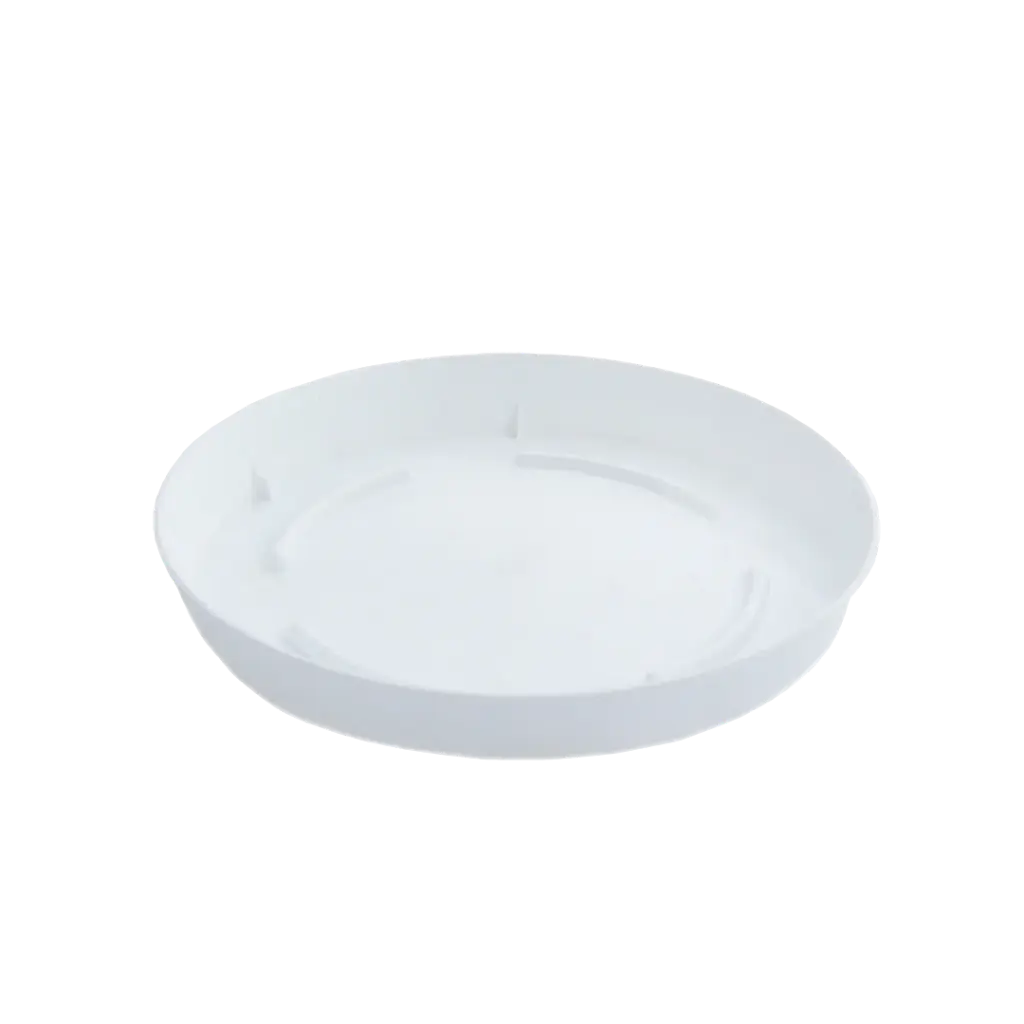 Vazo Lule 236 + Pjate 436