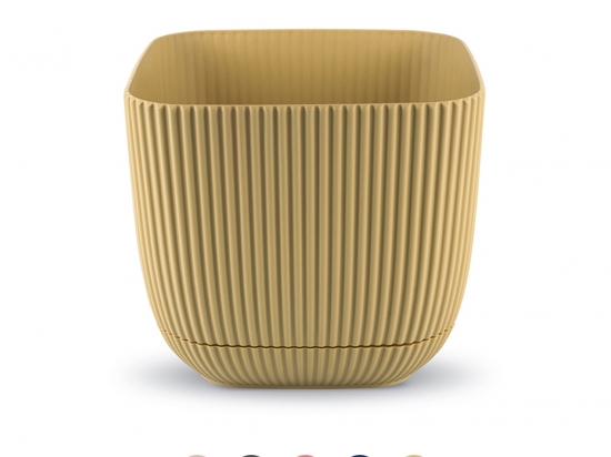 3 NO Vazo Katrore Me Vije