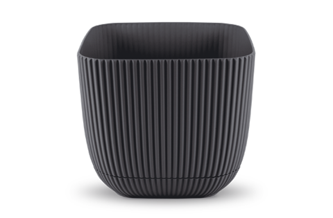 4 NO Vazo Katrore Me Vije