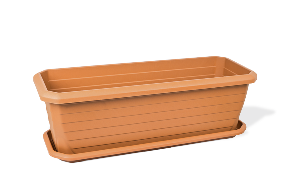 Vazo Lule per Jashte Katrore e Mesme