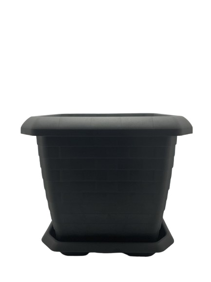 Vazo Katrore N.4 Me Pjate imp