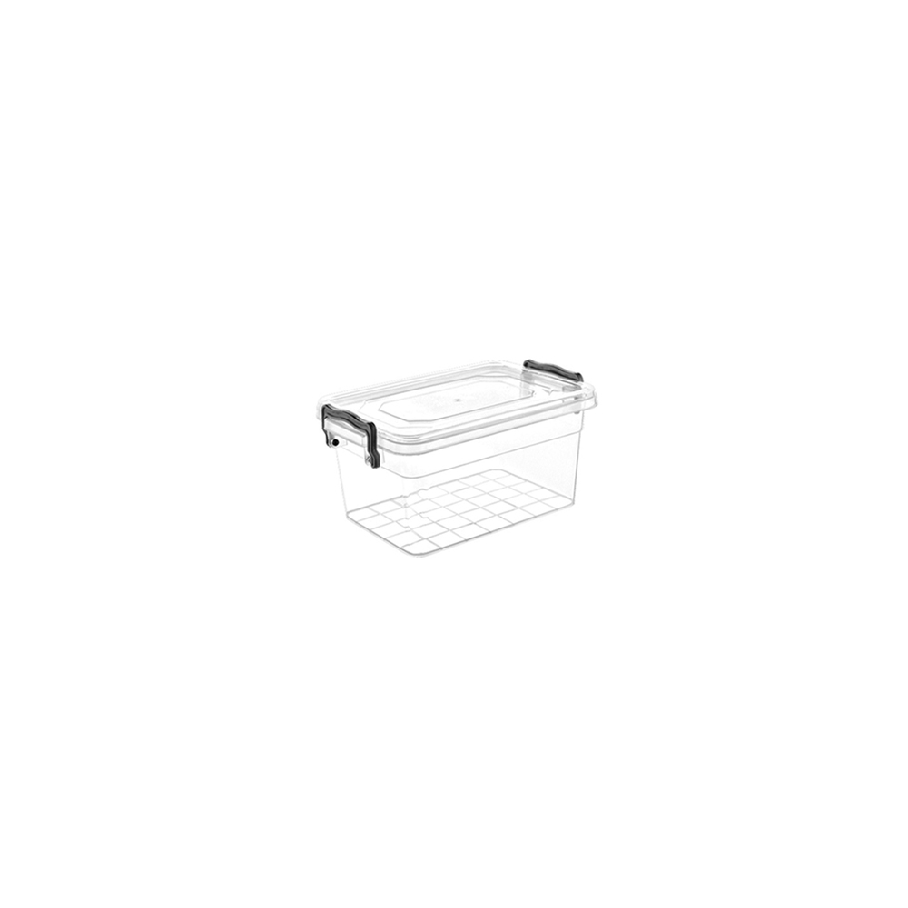 Kuti Plastike 3 LT Imp