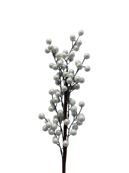 Dege Dekoruese Me Kokrra IMP