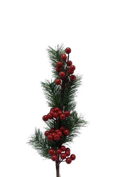 Dege Dekoruese Me Kokrra IMP