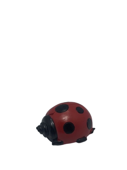 Nusepashke Dekoruese 7