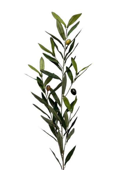 Lule Pampas Te gjata