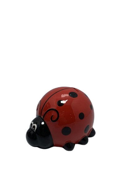 Arke kursimi nusepashke M AL  PF