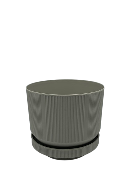 VAZO +PJATE NEW S282 