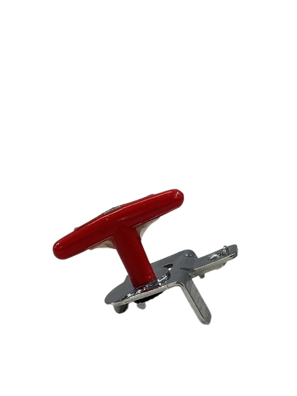 Hapse konservash Rigamonti 