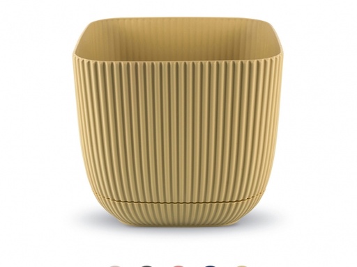 [KRS-383] 3 NO Vazo Katrore Me Vije