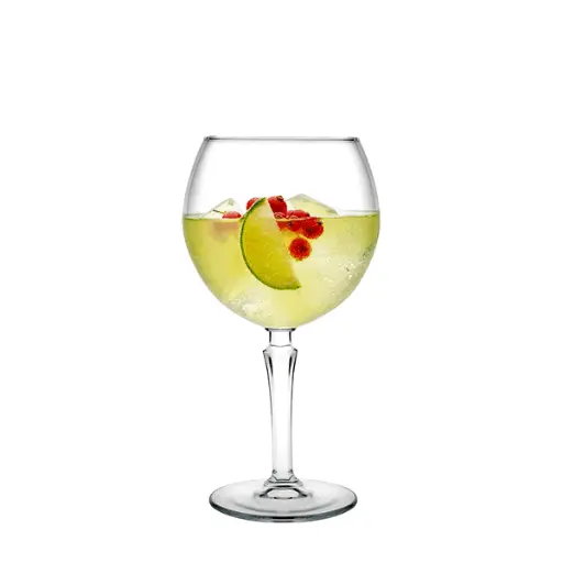 [440253PK6] GOTE HUDSON STEMWARE 655 cc SET*6