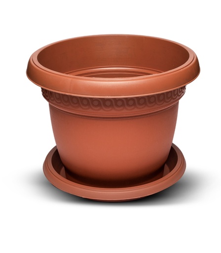 [B102-7] Vazo Lulesh +Pjate 21L NR.7 Tulle