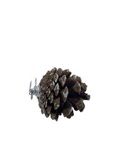 [CH8-XM151-9747] Boce Set*6 IMP