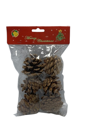 [CH8-XM186-H2055-18] Boce Set*6 IMP