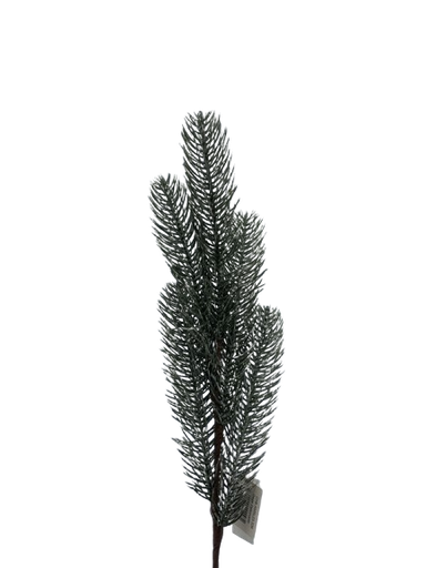 [CH8-XMSL23-339] Dege Dekoruese  IMP