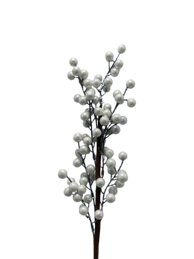 [CH8-XMHD23-783] Dege Dekoruese Me Kokrra IMP