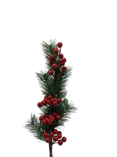 [CH8-XMSL23-255-1] Dege Dekoruese Me Kokrra IMP