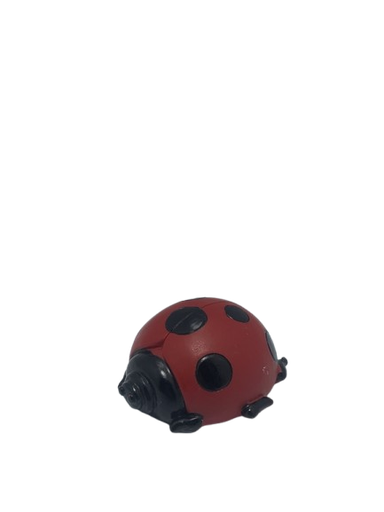 [AL1008] Nusepashke Dekoruese 6