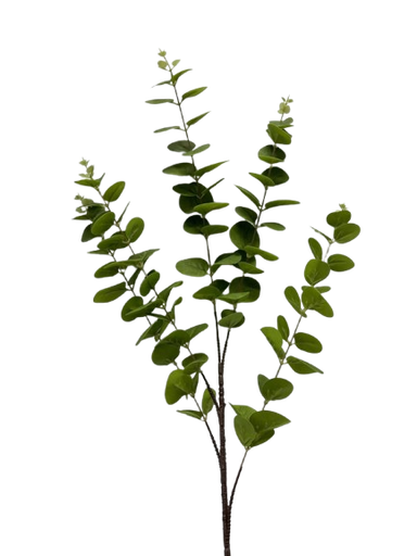 [AL20] Lule Te Ndryshme