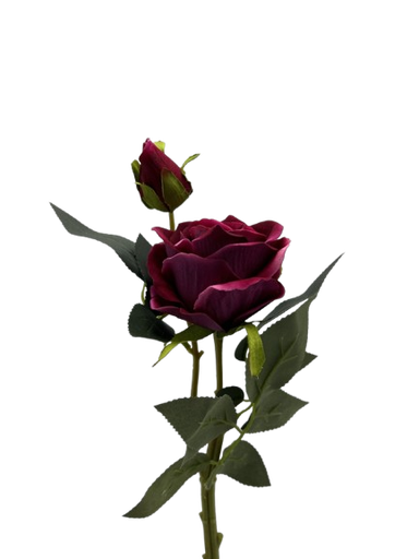 [AL94] Lule Trendafili