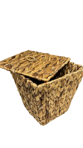 [svr-1730] Kosh I Vogel I Thurur Me Kapak