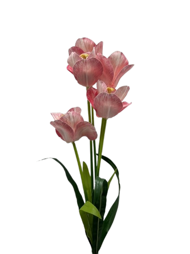 [AL-723] Lule Teke E Gomuar 