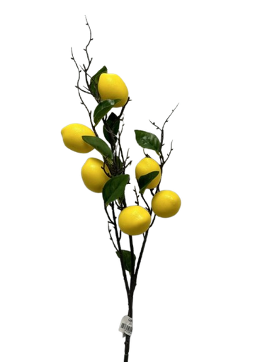 [AL-725] Lule Limoni