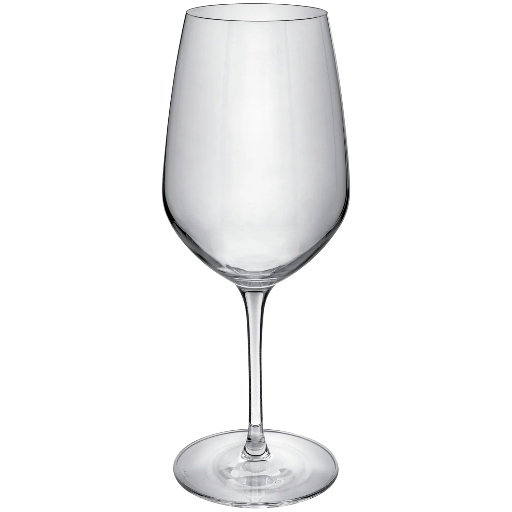 [440065PK2] ALLEGRA STEMWARE 490cc Set*2	 