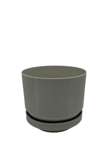 [S282] VAZO +PJATE NEW S282 