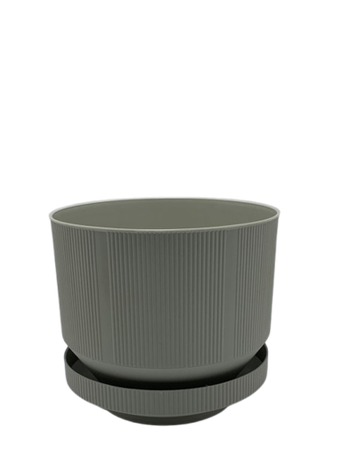 [S283C] VAZO +PJATE NEW S283 